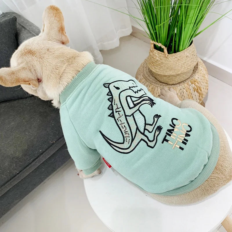 Matchende genser for hund og eier