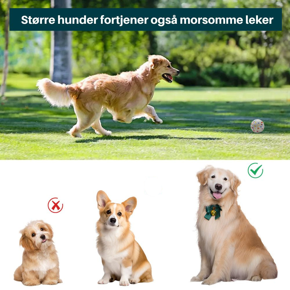 Funzie Pro™ - Forhåndsreservasjon av ballkaster til større hunder