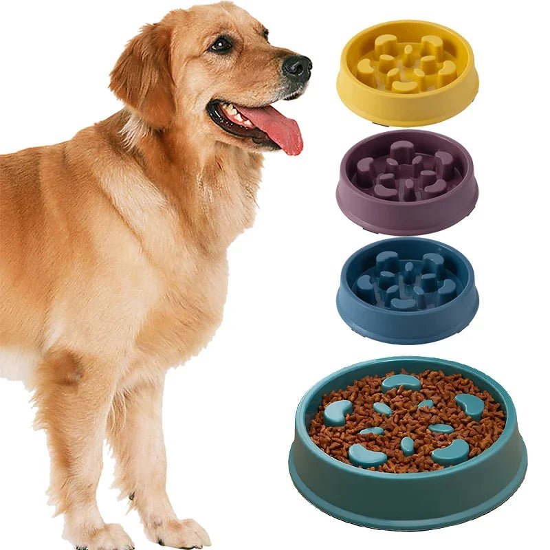 Slow - feeder matskål for hund - GodHund