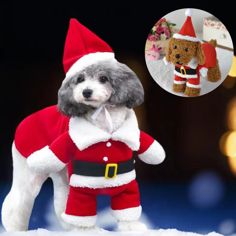 Morsomt og søtt hundekostyme til jul