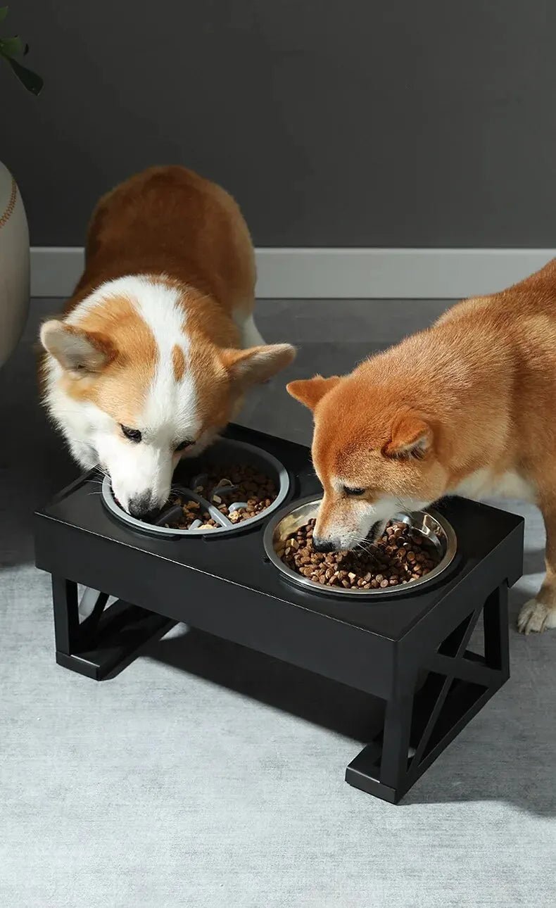HealthyFeast™ - Ergonomisk stativ for hundemåltid - GodHund