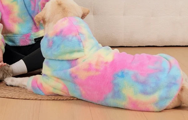 Matchende hettegenser for hund og eier