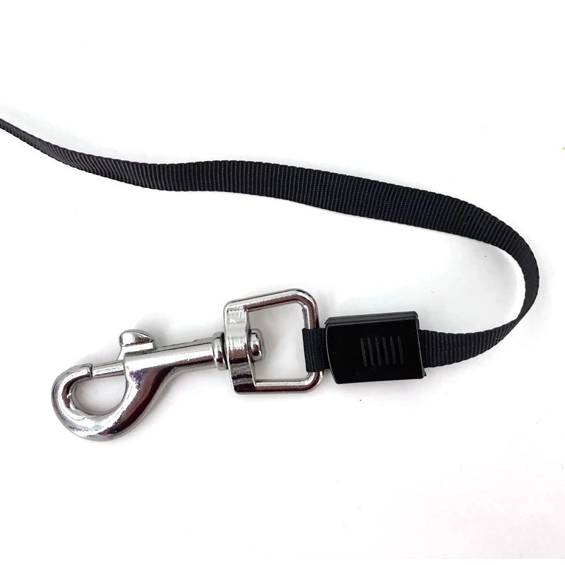 Automatic retractable dog lead – 3m/5m – product image 3