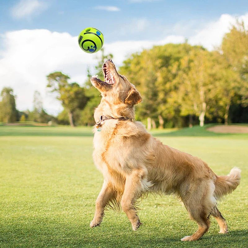 Aktivitet - og lydball for hunder - GodHund