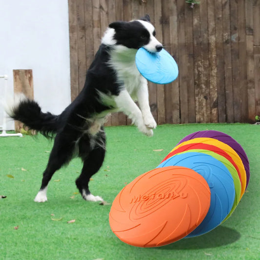 Frisbee for hund – morsom og slitesterk