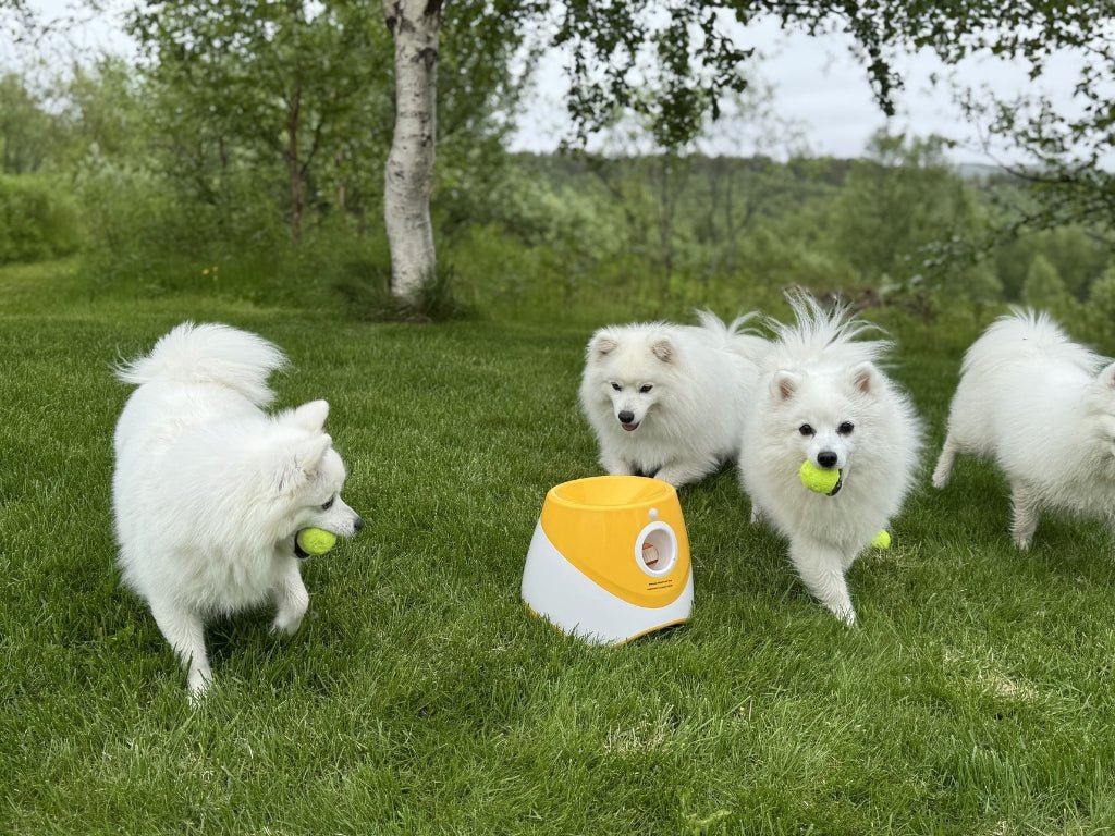 Funzie™ – Automatisk bollkastare för hund – produktbilde 2