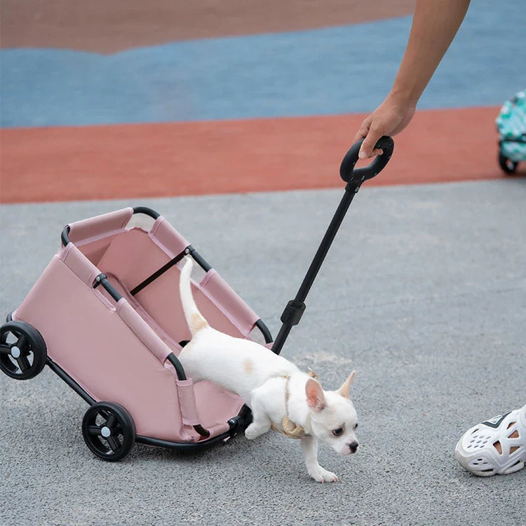 For liten hund