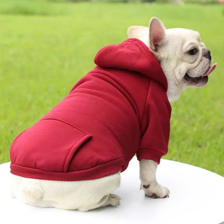 Hundeklær