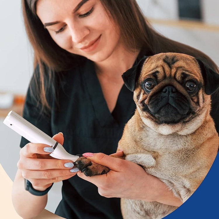 Pleie og velvære - GodHund