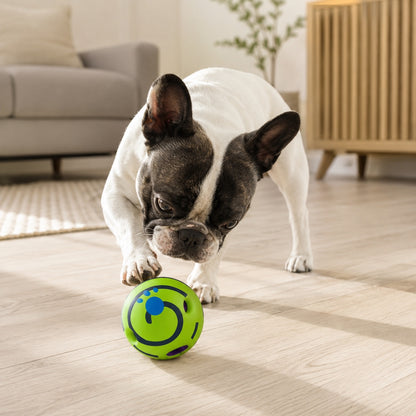 Hund som leker med grønn aktivitet- og lydball
