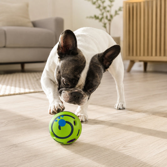 Hund som leker med grønn aktivitet- og lydball