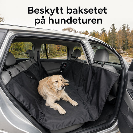 Hund på enkel svart bilsetebeskyttelse etter tur