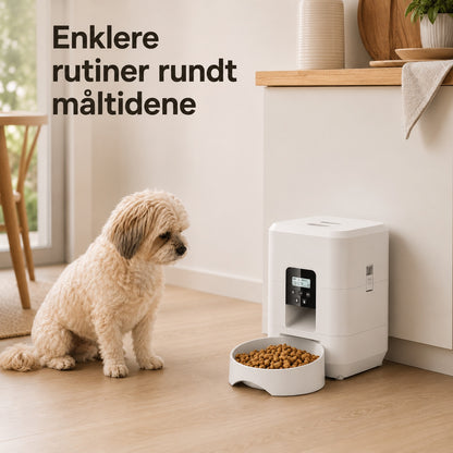 Hvit automatisk fôrautomat i bruk ved hundens faste spiseplass
