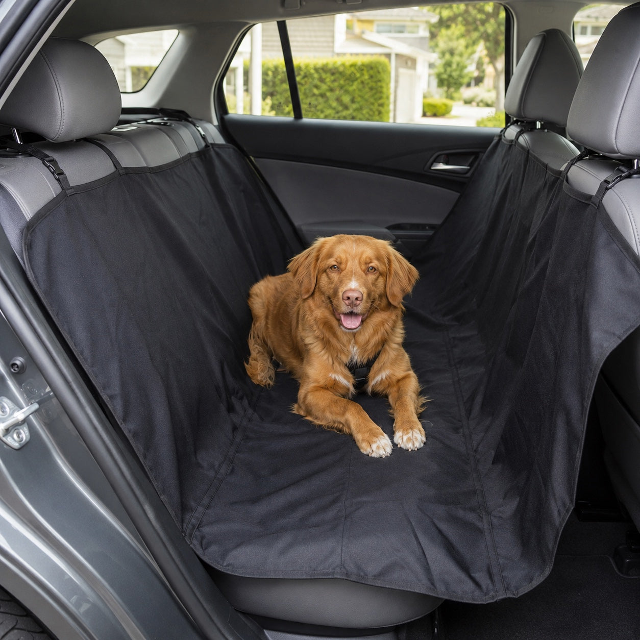 Hund på svart bilsetebeskyttelse sett fra siden i baksetet