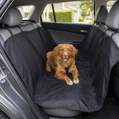 Hund på svart bilsetebeskyttelse sett fra siden i baksetet