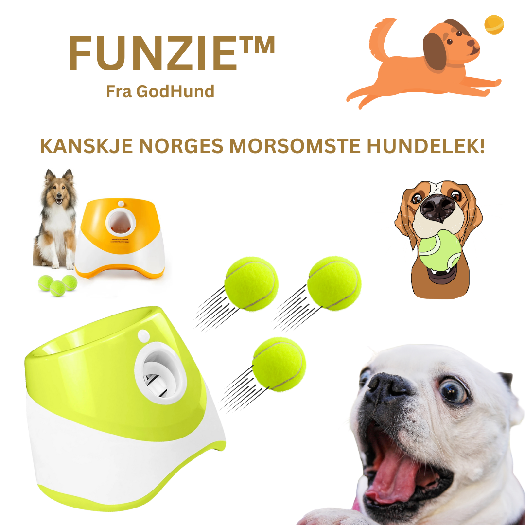 Funzie™ - Automatisk ballkaster til hund