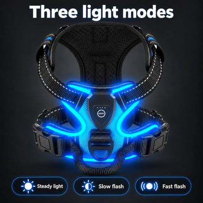 LysSele™ – Rechargeable LED Harness for Dogs - product image 4