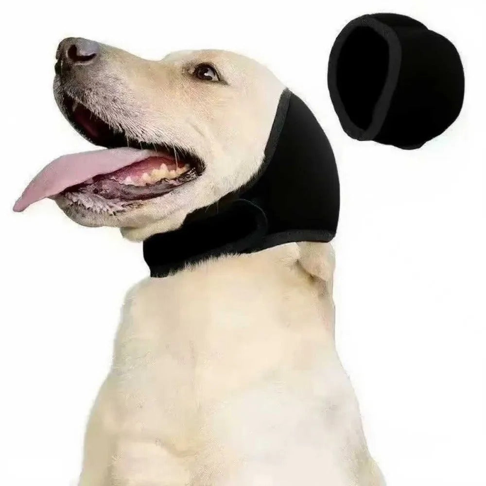 Svart hørselvern for hund, på hunden og alene