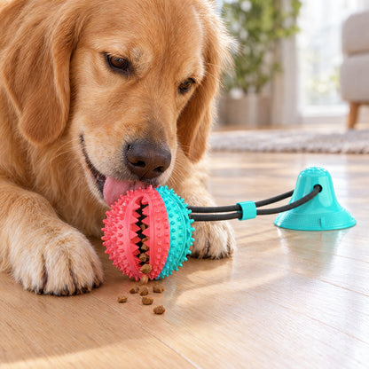 Golden retriever tygger på ballen mens godbiter faller ut