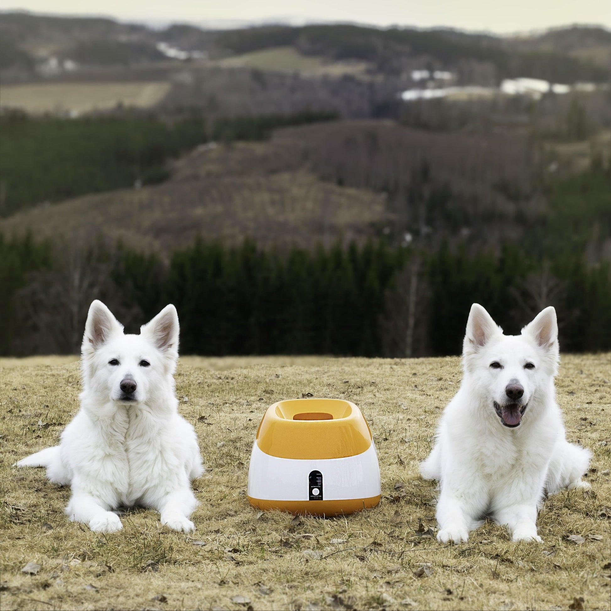 Funzie Pro™ - Automatisk ballkaster for store og små - GodHund