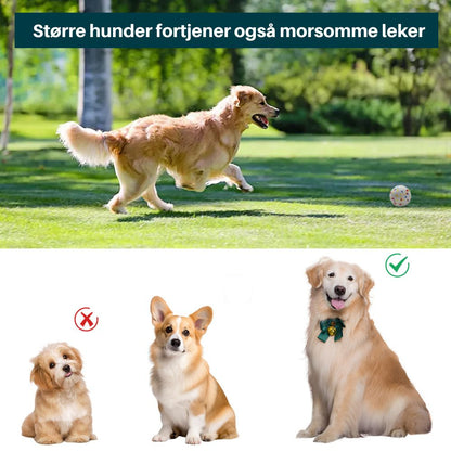 Funzie Pro™ - Forhåndsreservasjon av ballkaster til større hunder