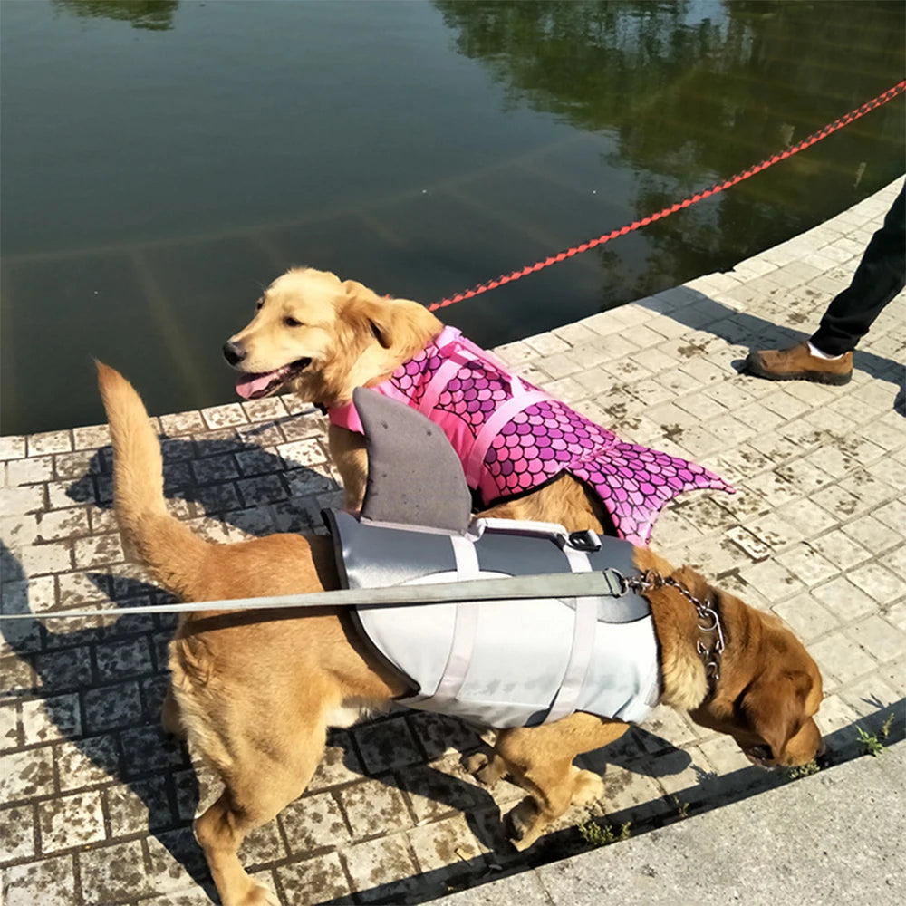 Flytväst för hund i användning