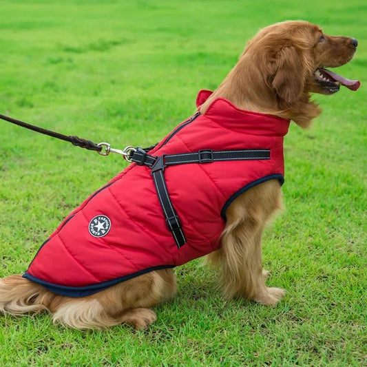 Vinterjakke for hund med sele – produktbilde 3