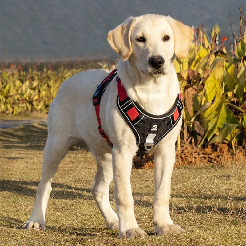 NoPull™ - Hundesele mot trekking og kvelning - GodHund