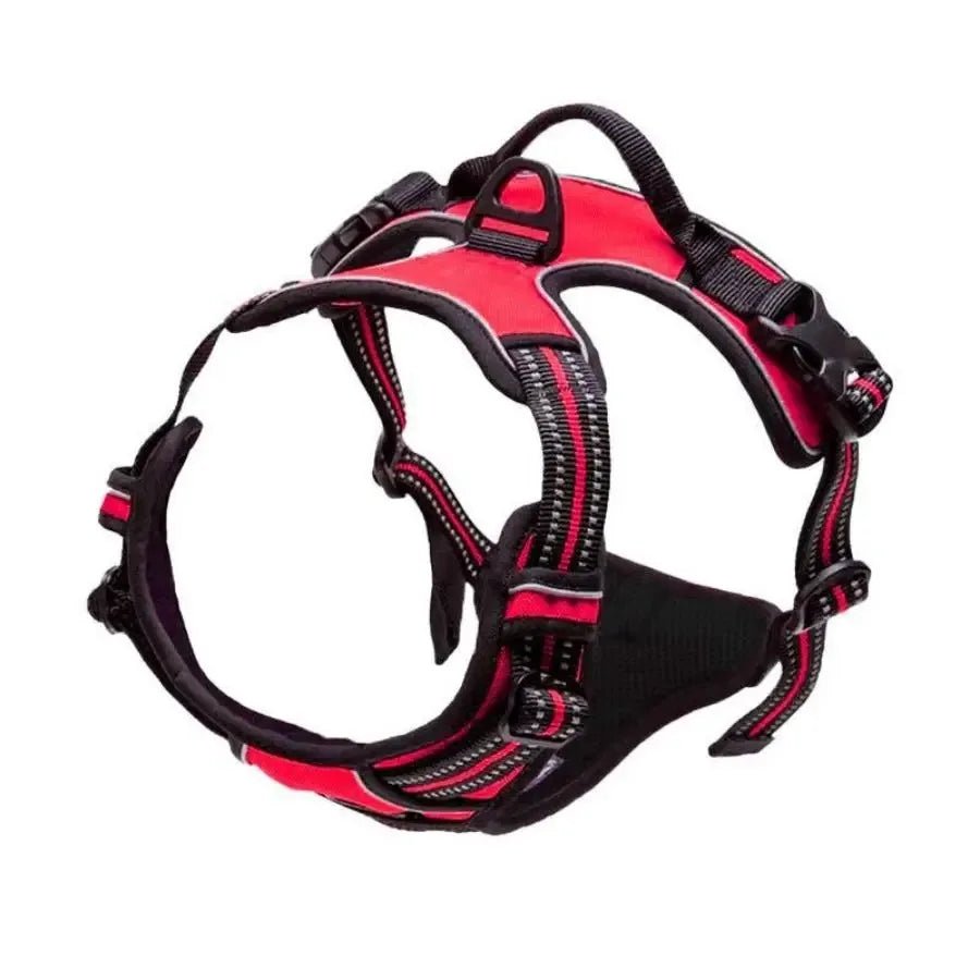Comfortable Dog Harness with Lead - product image 10