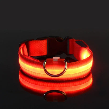 Kirkas LED-kaulapanta koiralle