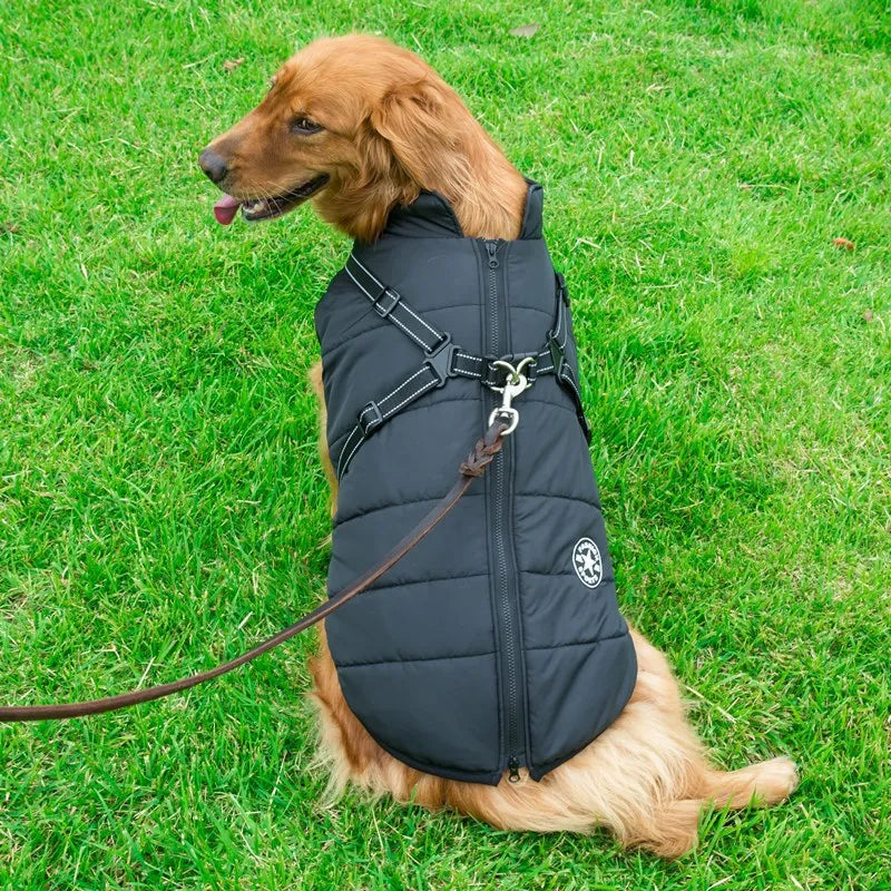 Vinterjakke for hund med sele