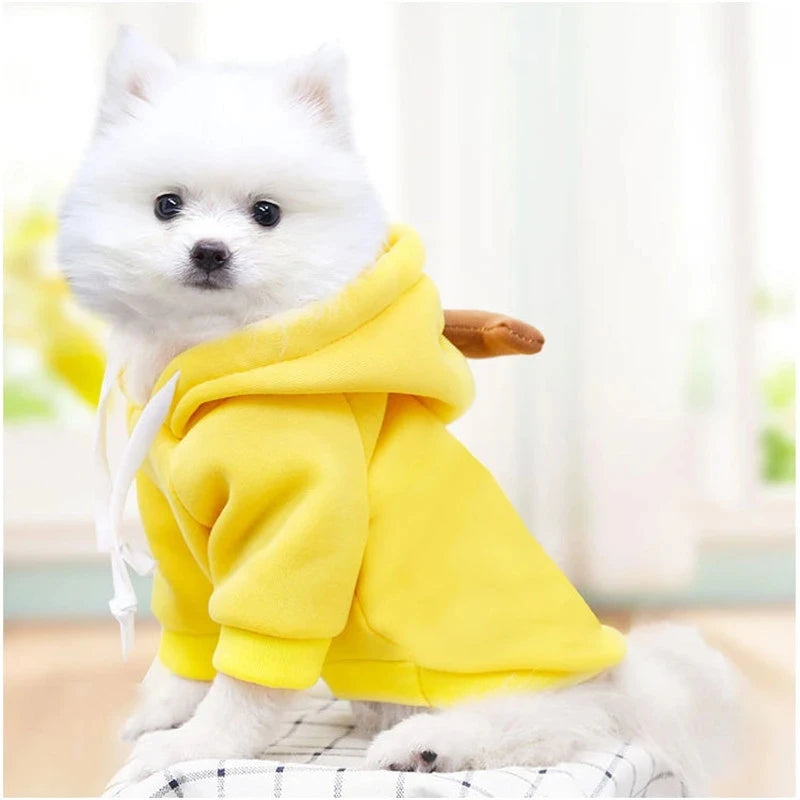 Cute Fruit Dog Clothes for Small Dogs hoodies Warm Fleece Pet Clothing Puppy Cat Costume Coat for French Chihuahua Jacket Suit - GodHund