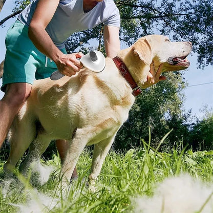 Självrengörande hundborste i användning
