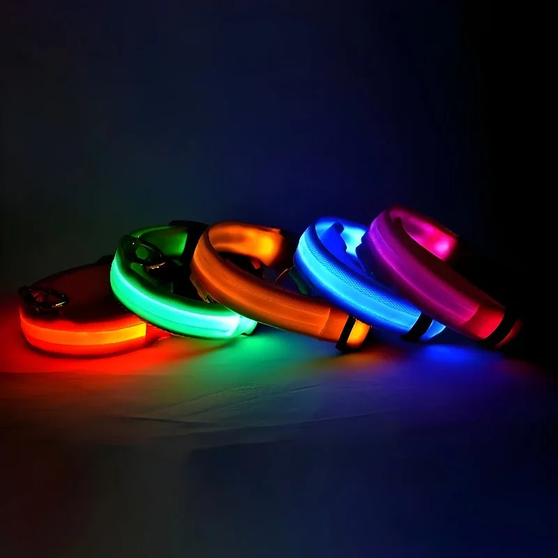 Kirkas LED-kaulapanta koiralle