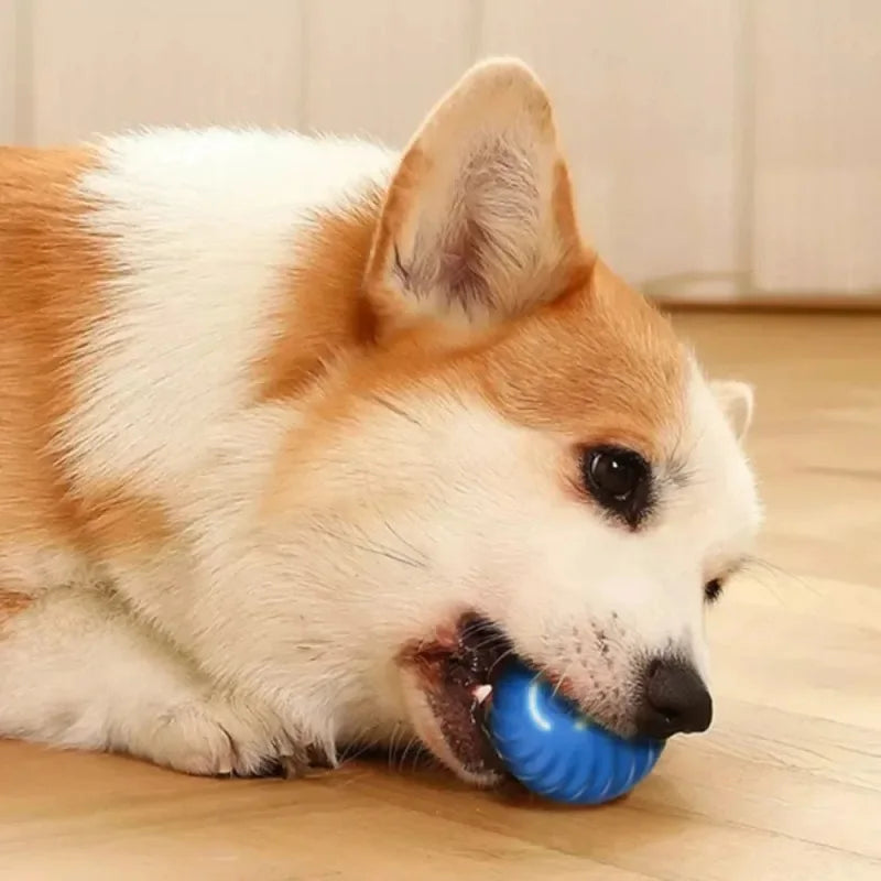 Ballen™ - Automatisk rullende lekeball - GodHund