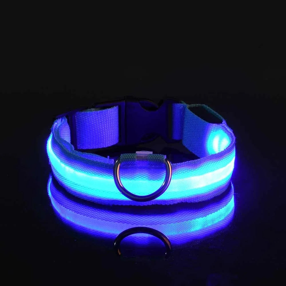 Kirkas LED-kaulapanta koiralle