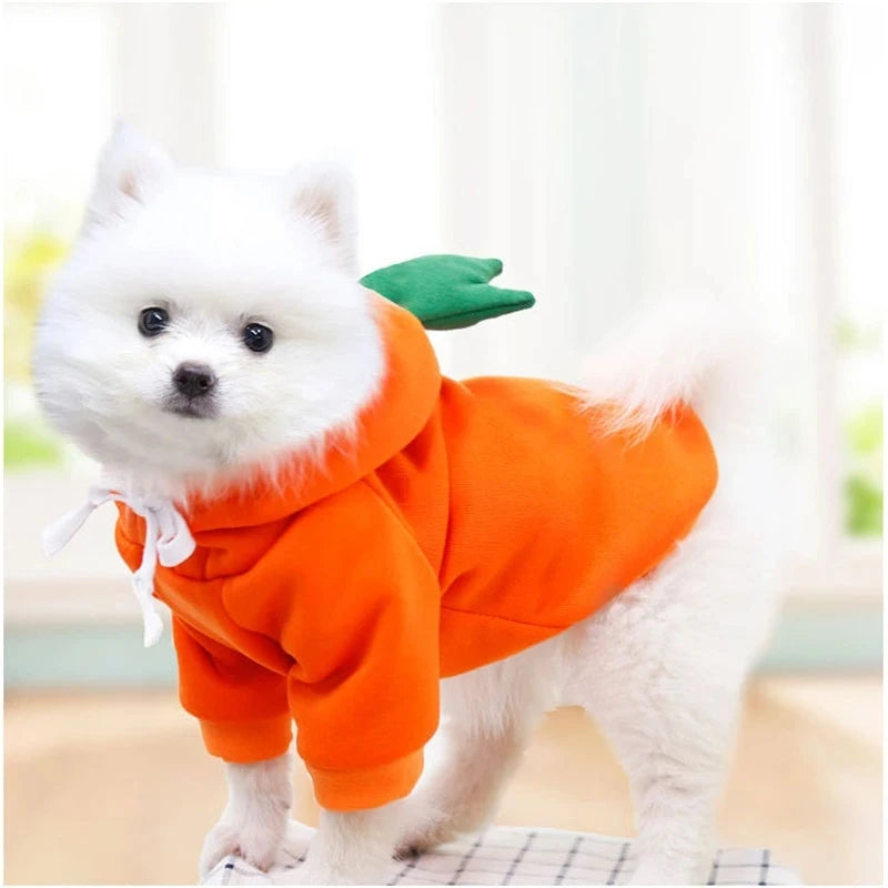 Cute Fruit Dog Clothes for Small Dogs hoodies Warm Fleece Pet Clothing Puppy Cat Costume Coat for French Chihuahua Jacket Suit - GodHund
