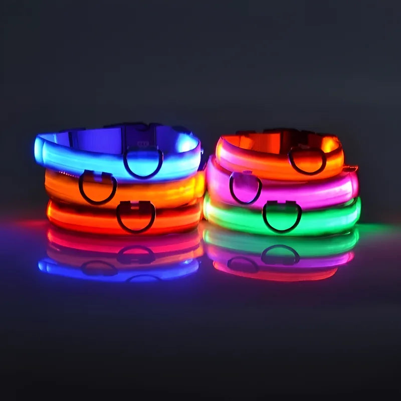 Kirkas LED-kaulapanta koiralle