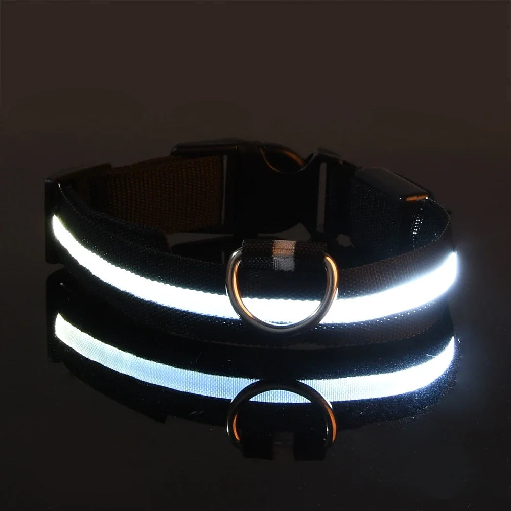 Kirkas LED-kaulapanta koiralle