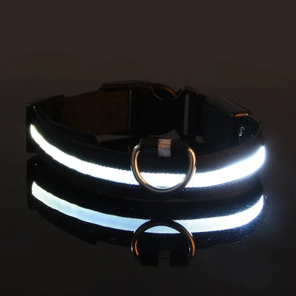 Kirkas LED-kaulapanta koiralle