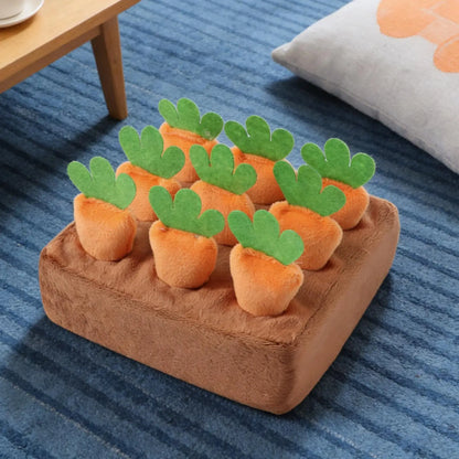 Nosmatta med morötter produktbild 3