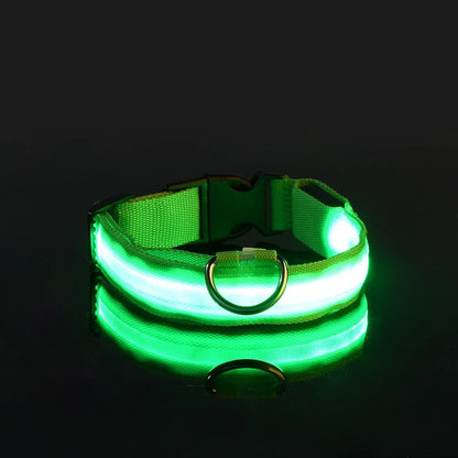 Kirkas LED-kaulapanta koiralle
