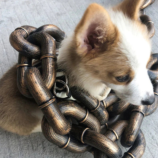 Fun plastic chain for dogs – product image 3