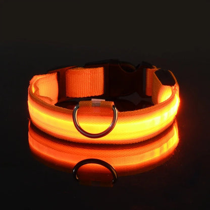 Kirkas LED-kaulapanta koiralle
