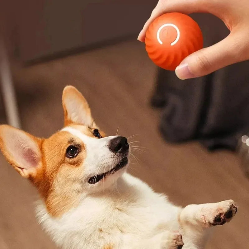 Ballen™ - Automatisk rullende lekeball - GodHund