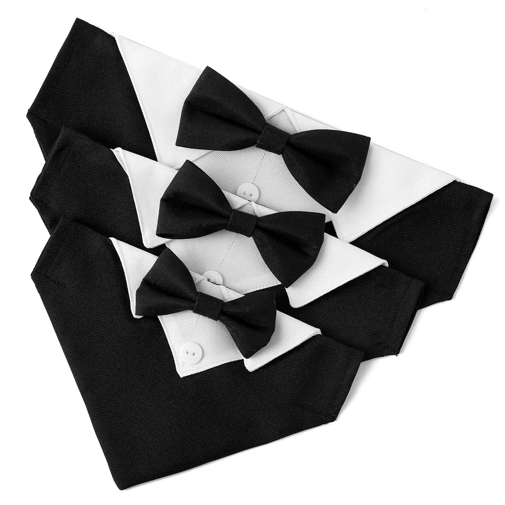 Sløyfe till pälsvän