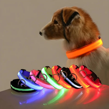 Kirkas LED-kaulapanta koiralle