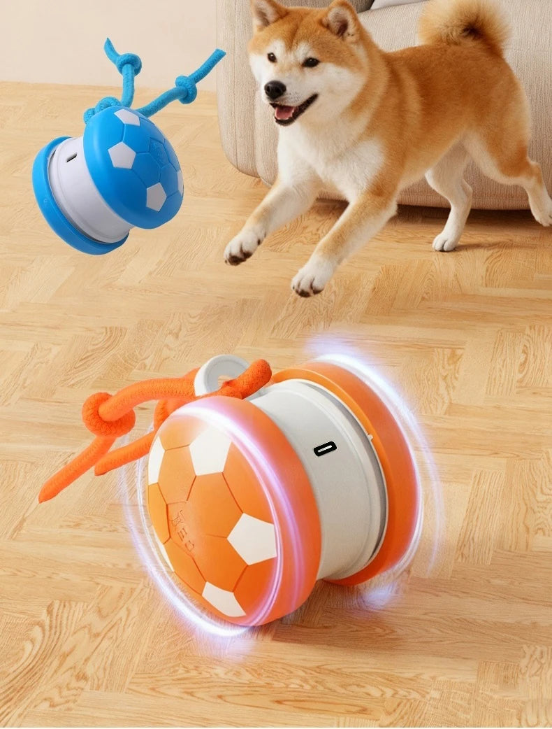 Interaktiv aktivitetsboll för hund, blå variant
