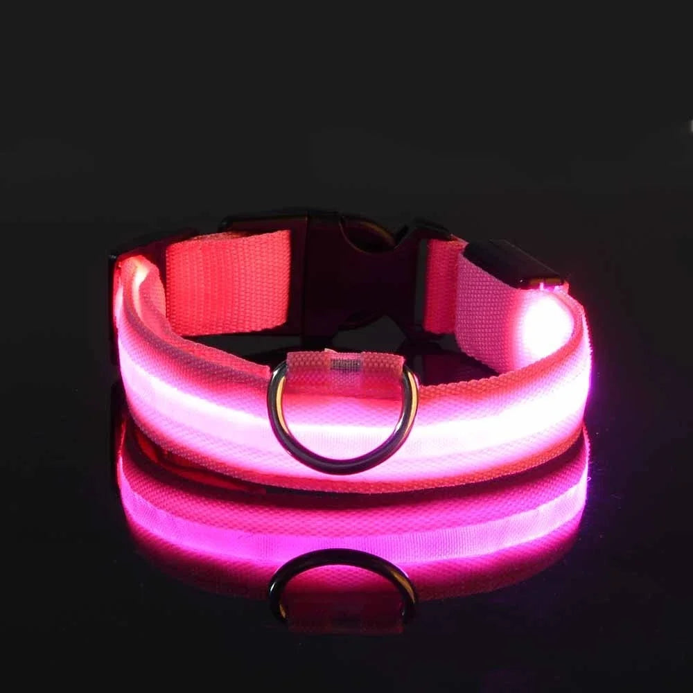 Kirkas LED-kaulapanta koiralle