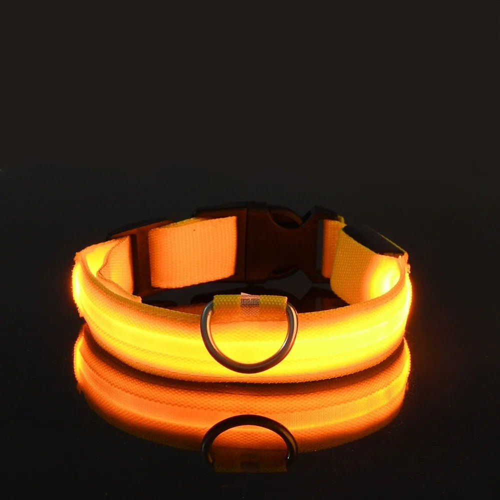 Kirkas LED-kaulapanta koiralle